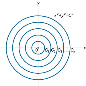 семейство концентрических окружностей