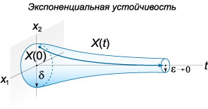 экспоненциальная устойчивость