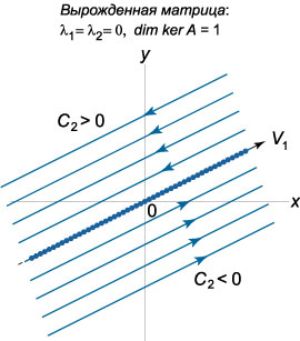 фазовый портрет в случае вырожденной матрицы, lambda1=lambda2=0